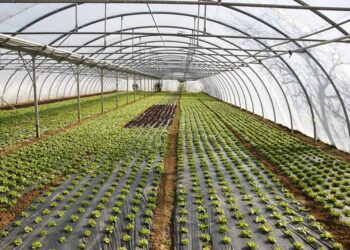 Υπερκαλύφθηκε ο προϋπολογισμός της Παρέμβασης για τα θερμοκήπια – Οι αιτήσεις έφθασαν στο 180% του διαθέσιμου ποσού