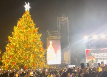 Φωταγωγήθηκε το χριστουγεννιάτικο δέντρο στη Θεσσαλονίκη – Υπό βροχή οι εκδηλώσεις