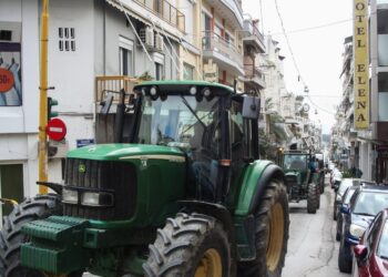 Λαμία: Συνελήφθη αγρότισσα για βίντεο που ανέβασε στο Tik Tok – Προέτρεπε σε πράξεις βίας