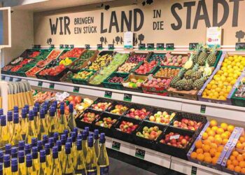 ΣΕΒΕ: Άνοδος εξαγωγών τον Οκτώβριο 2025 – Ο κλάδος των τροφίμων κρατάει τα ηνία