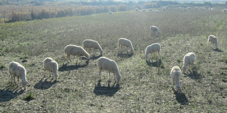 Οδηγίες για την υποβολή ενστάσεων στην Εξισωτική του 2025