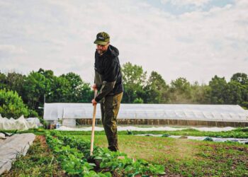 IFOAM Organics Europe: Ουσιαστική αναγνώριση του ρόλου των βιολογικών ζητά η κλαδική οργάνωση-ομπρέλα