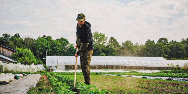 IFOAM Organics Europe: Ουσιαστική αναγνώριση του ρόλου των βιολογικών ζητά η κλαδική οργάνωση-ομπρέλα