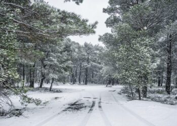 Καιρός Πρωτοχρονιάς: Ψυχρή εισβολή εξπρές – Χιόνια στην Αττική, χαμηλές θερμοκρασίες με ανέμους που «ξυρίζουν»