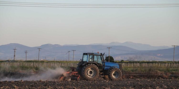 Αγρότες: Επιπλέον πληρωμές 487,9 εκατ. ευρώ από ΟΠΕΚΕΠΕ και ΕΛΓΑ