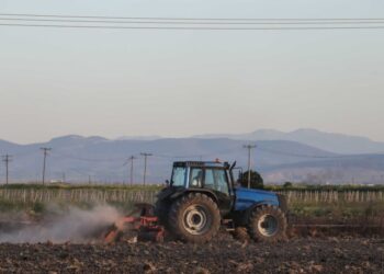 Αγρότες: Επιπλέον πληρωμές 487,9 εκατ. ευρώ από ΟΠΕΚΕΠΕ και ΕΛΓΑ