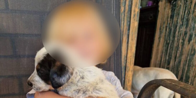 Τραγωδία στη Ζάκυνθο: «Το πίτμπουλ τρόμαξε από πυροβολισμούς κυνηγών και κατασπάραξε τον Λίο», λέει η μητέρα του 2χρονου