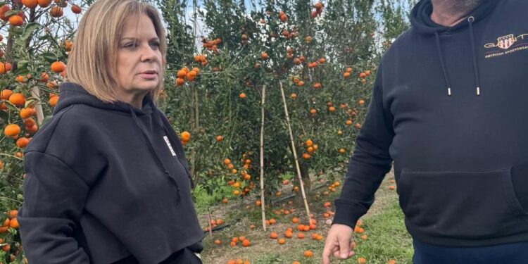 Χριστίνα Σταρακά: Αυτοψία στις κατεστραμμένες καλλιέργειες σε Ευηνοχώρι και Γαλατά