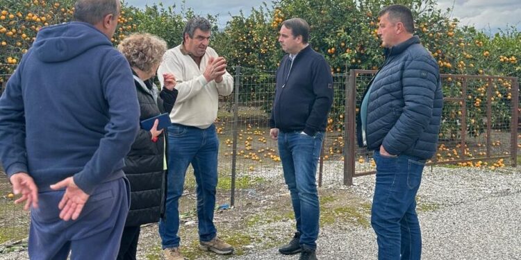 Θανάσης Παπαθανάσης: Αυτοψία σε Ευηνοχώρι και Γαλατά