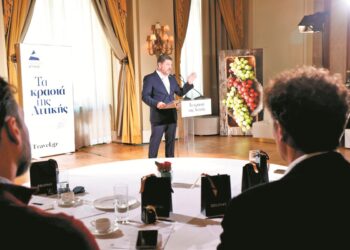 Στο επίκεντρο η «αναγέννηση» του αττικού αμπελώνα