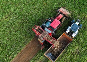 Έως 160 εκατ. ευρώ στους αγρότες και κτηνοτρόφους