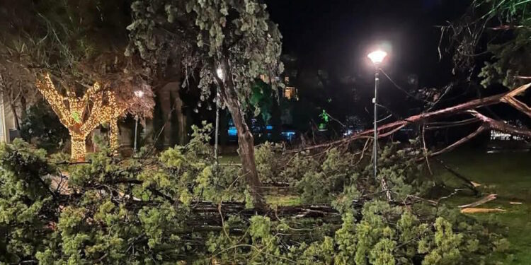 Καιρός – Αλεξανδρούπολη: «Από θαύμα δεν σημειώθηκαν δυστυχήματα» λέει μετεωρολόγος για τις ριπές ανέμου 154 χιλιομέτρων την ώρα