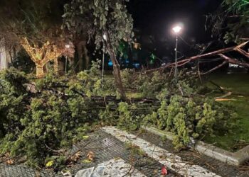Λέκκας για τον ανεμοστρόβιλο στην Αλεξανδρούπολη: Αντίστοιχα φαινόμενα θα εμφανίζονται συχνότερα