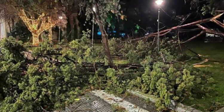 Λέκκας για τον ανεμοστρόβιλο στην Αλεξανδρούπολη: Αντίστοιχα φαινόμενα θα εμφανίζονται συχνότερα