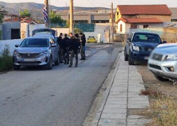 Ασπρόπυργος: Επιχείρηση του ελληνικού FBI σε Νέα Ζωή και Νεόκτιστα μετά τον τραυματισμό αστυνομικό σε επίθεση με πέτρες