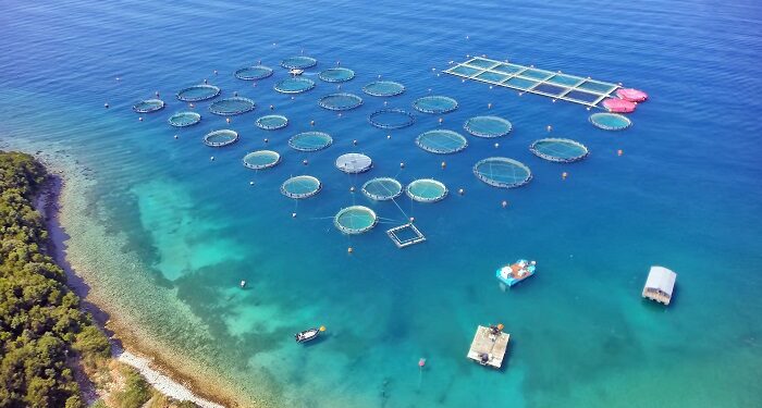 Select Organic: H ενίσχυση της βιολογικής υδατοκαλλιέργειας στο επίκεντρο ευρωπαϊκού έργου