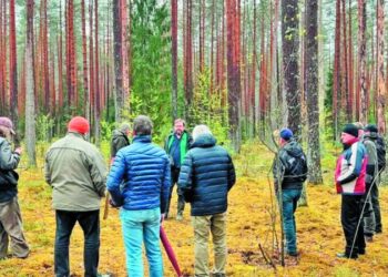 EMISIS: Το λετονικό ψηφιακό εργαλείο που αλλάζει τους κανόνες στη δασική διαχείριση