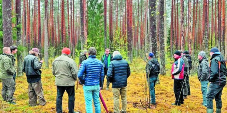 EMISIS: Το λετονικό ψηφιακό εργαλείο που αλλάζει τους κανόνες στη δασική διαχείριση