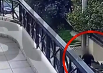 Γλυκά Νερά: Ηλικιωμένοι ξεγέλασαν απατεώνα που παρίστανε υπάλληλο του ΔΕΔΔΗΕ για να τους κλέψει