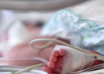 Καλλιθέα: Χωρίς ίχνη κακοποίησης το βρέφος που έχασε τη ζωή του – Η εξήγηση των γονιών του για τη μεταφορά του σε κτηνιατρείο