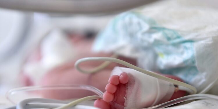 Καλλιθέα: Χωρίς ίχνη κακοποίησης το βρέφος που έχασε τη ζωή του – Η εξήγηση των γονιών του για τη μεταφορά του σε κτηνιατρείο