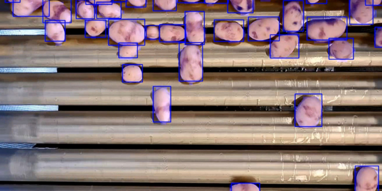 Μείωση αποβλήτων μέσω της «επιχειρησιακής ευφυΐας»