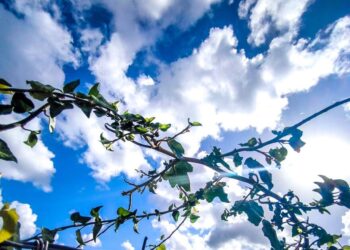 Καιρός σήμερα: Τους 18 βαθμούς Κελσίου θα φτάσει η θερμοκρασία