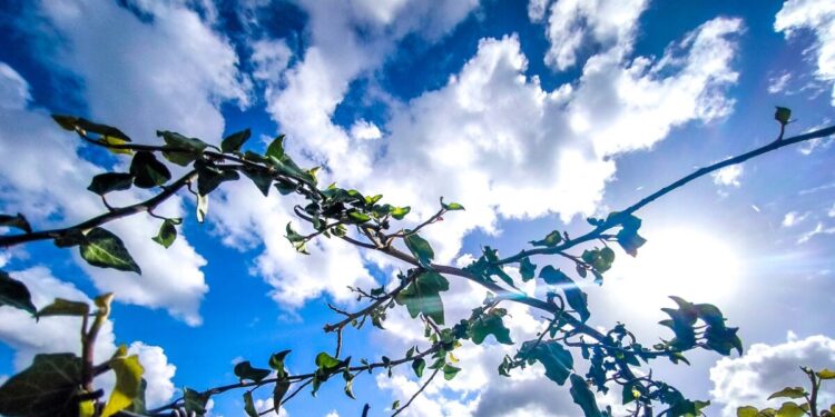 Καιρός σήμερα: Τους 18 βαθμούς Κελσίου θα φτάσει η θερμοκρασία