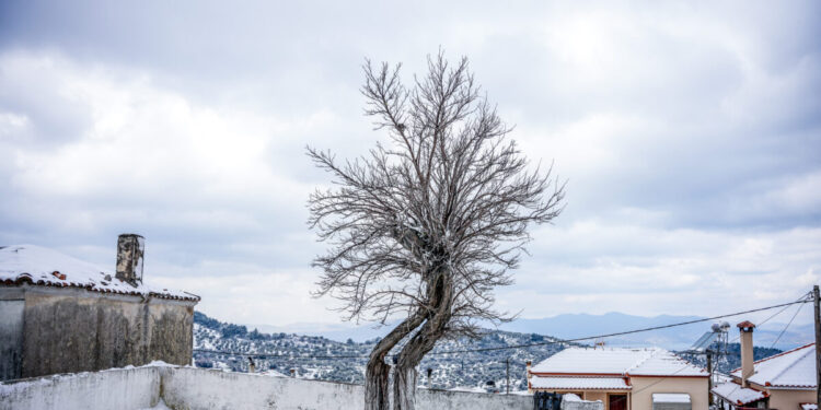 Καιρός αύριο: Βροχές και χιόνια στην Κρήτη – Κυριαρχούν οι ισχυροί άνεμοι, ανεβαίνει η θερμοκρασία