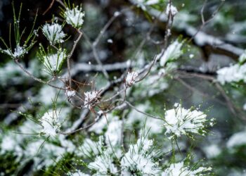 Καιρός σήμερα: Ήλιος με δόντια, βροχές και χιόνια στα ορεινά