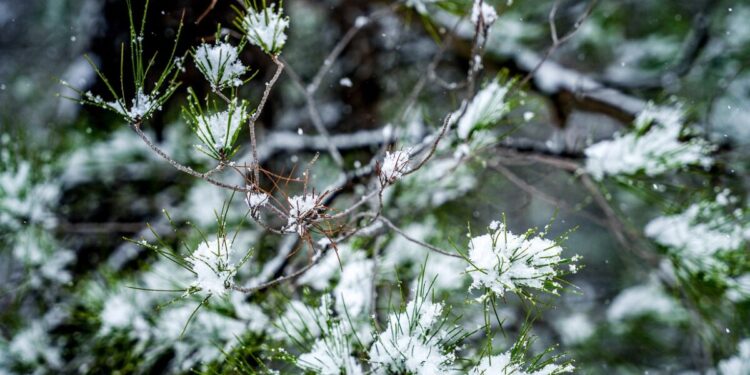 Καιρός σήμερα: Ήλιος με δόντια, βροχές και χιόνια στα ορεινά