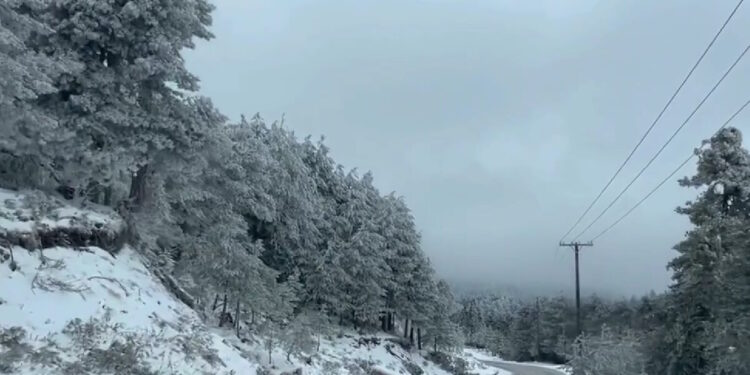 Καιρός: Καταφτάνει η ψυχρή εισβολή που θα «παγώσει» όλη τη χώρα – Τι θα γίνει με τα χιόνια σε Εθνική Οδό και Αττική