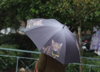 Καιρός σήμερα: Ισχυροί άνεμοι 8 μποφόρ στο Αιγαίο – Βροχές, καταιγίδες και χιόνια σε διάφορες περιοχές