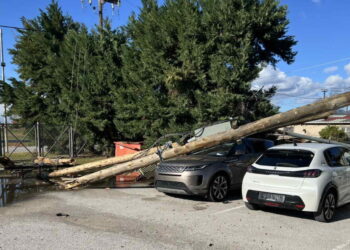 Φθιώτιδα: Επέσαν δέντρα και κολόνες από τους θυελλώδεις ανέμους – Χιόνια στην Ευρυτανία