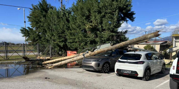 Φθιώτιδα: Επέσαν δέντρα και κολόνες από τους θυελλώδεις ανέμους – Χιόνια στην Ευρυτανία
