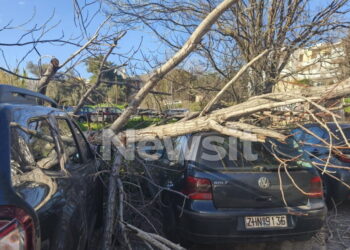 Μαρούσι: Δέντρο ξεριζώθηκε και καταπλάκωσε σταθμευμένα αυτοκίνητα εξαιτίας των ισχυρών ανέμων