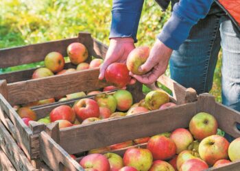 Κομισιόν: Εμπόδια και προοπτικές για την ευρωπαϊκή παραγωγή φρούτων έως το 2035