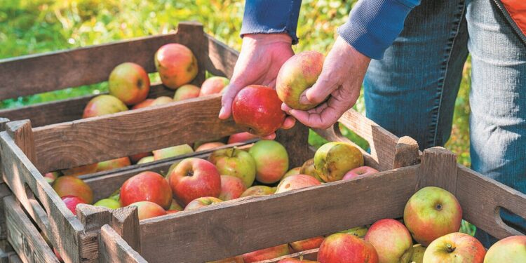 Κομισιόν: Εμπόδια και προοπτικές για την ευρωπαϊκή παραγωγή φρούτων έως το 2035