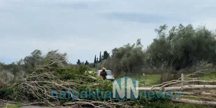 Καιρός: Τους πήρε και τους σήκωσε στη Δυτική Ελλάδα – Ξεριζωμένα δέντρα και περιορισμοί στη Γέφυρα Ρίου – Αντιρίου