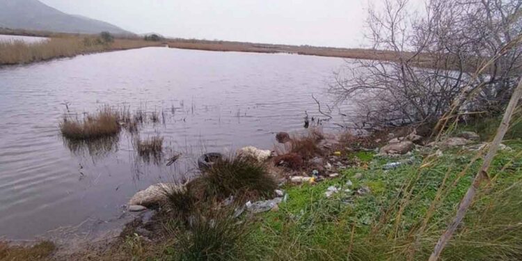 Αιτωλικό: Στη Δικαιοσύνη η Περιφέρεια για τα πεταμένα νεκρά πρόβατα στη λιμνοθάλασσα