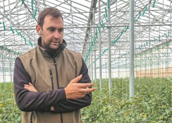 Αγρόκτημα Ντεμερούκα: Χτίζοντας το νέο μοντέλο θερμοκηπιακής ντομάτας στη Μεσσηνία