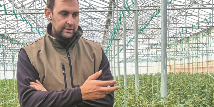 Αγρόκτημα Ντεμερούκα: Χτίζοντας το νέο μοντέλο θερμοκηπιακής ντομάτας στη Μεσσηνία