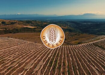 ΟΠΕΚΕΠΕ: Για πρώτη φορά κατηγορούμενοι για κακουργήματα ζήτησαν ποινική διαπραγμάτευση μετά από επιστροφή χρημάτων