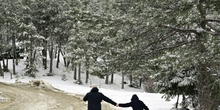 Καιρός: Στην «κατάψυξη» παραμένει την Τρίτη η χώρα – Ακόμη πιο τσουχτερό το κρύο, που θα χιονίσει