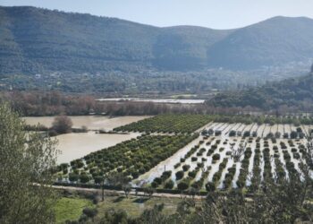 Φράγμα Ράγιο Θεσπρωτίας: Ζημιές σε καλλιέργειες – Κορμοί δέντρων φράζουν τη ροή του Καλαμά