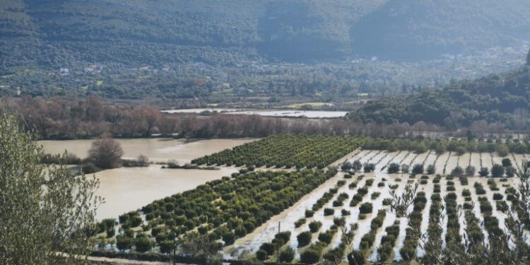 Φράγμα Ράγιο Θεσπρωτίας: Ζημιές σε καλλιέργειες – Κορμοί δέντρων φράζουν τη ροή του Καλαμά
