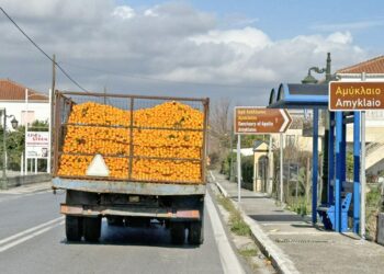 Λακωνία – Αργολίδα: Βουτιά στην τιμή του χυμού πορτοκαλιού