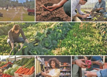 Στον δρόμο προς τη βιωσιμότητα μέσα από 12 ευρωπαϊκά έργα