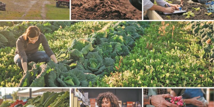 Στον δρόμο προς τη βιωσιμότητα μέσα από 12 ευρωπαϊκά έργα