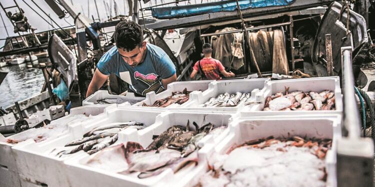 ΟΗΕ: Τα αποθέματα ψαριών σε Μεσόγειο και Μαύρη Θάλασσα δείχνουν σημάδια ανάκαμψης, αλλά οι απειλές παραμένουν